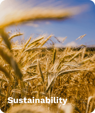 sustainability