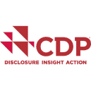 partnership executive